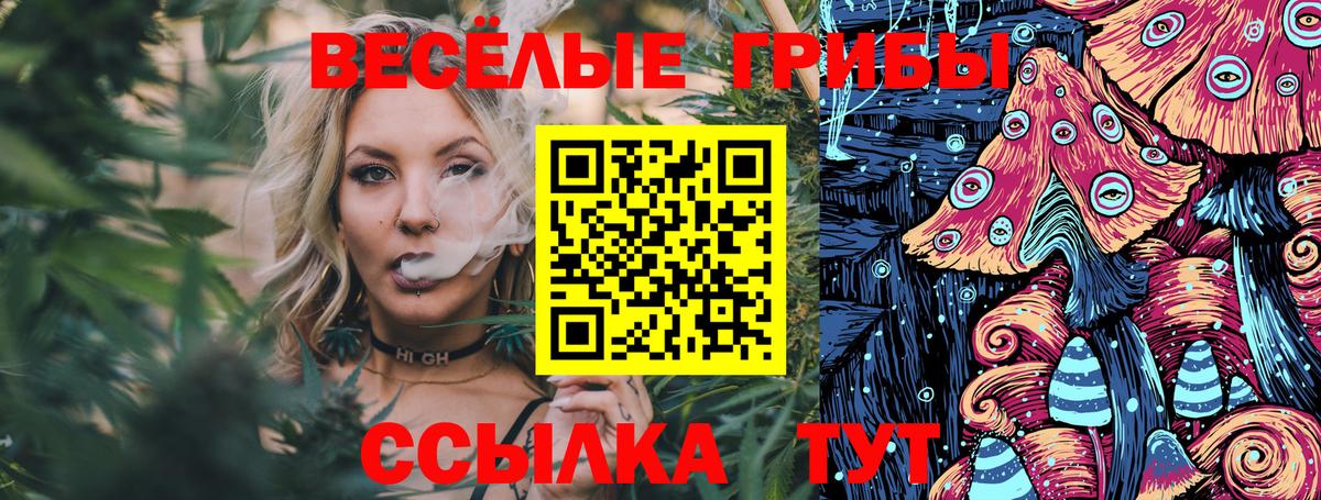 Псилоцибиновые грибы мицелий  цена наркотик  Костомукша  Вход с VPN 